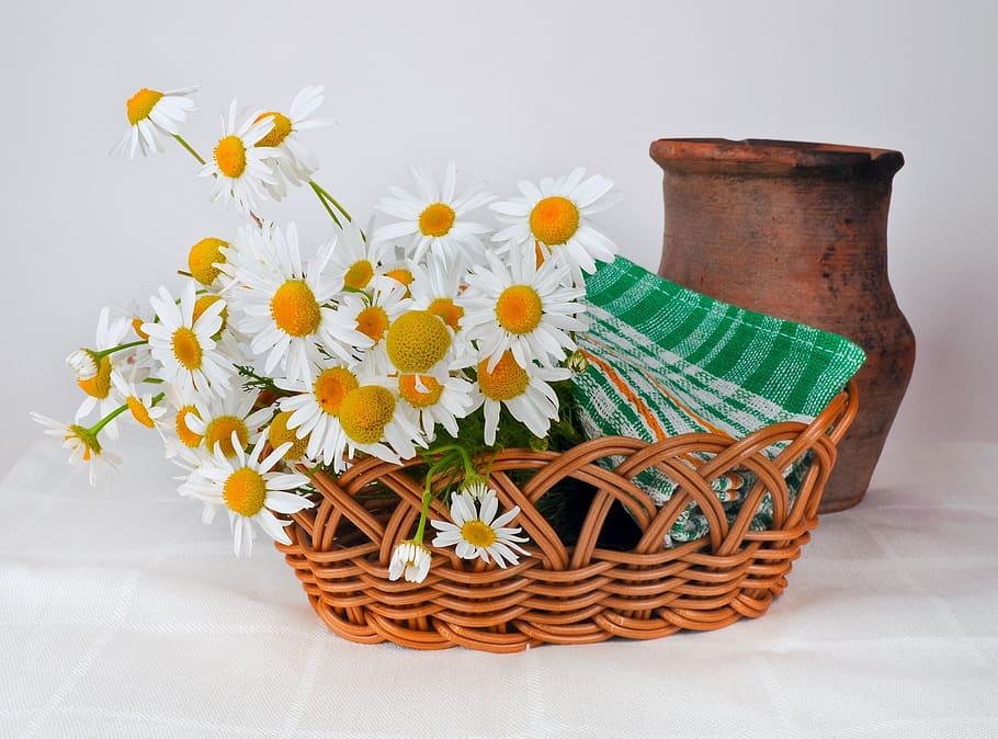 White and Orange Daisy Flowers on Brown Woven Basket Near Brown Vase HD wallpaper
