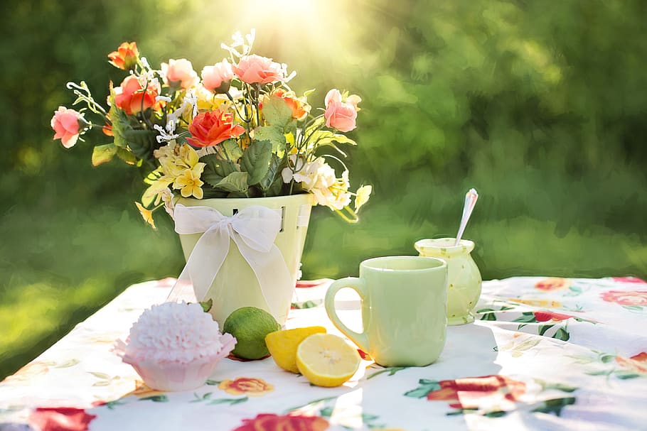 Red and Pink Flowers on Pot on Table, blur, citrus, cup, daylight HD wallpaper