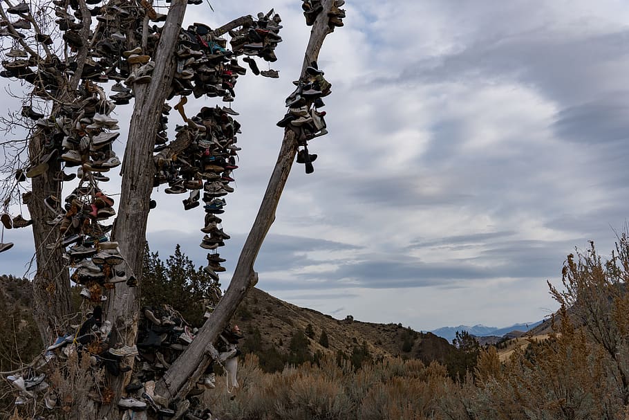 shoe, tree, branch, sole, hanging, laces, boots, footwear, hills HD wallpaper
