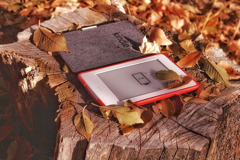 red and white Kindle tablet, leaf, plant, electronics, phone HD wallpaper