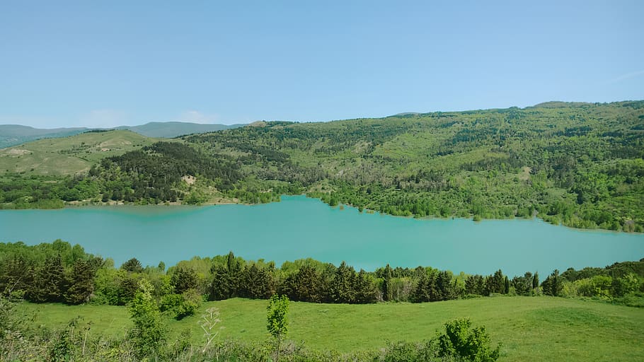 italy, troina, diga ancipa, tree, scenics - nature, plant, tranquility HD wallpaper