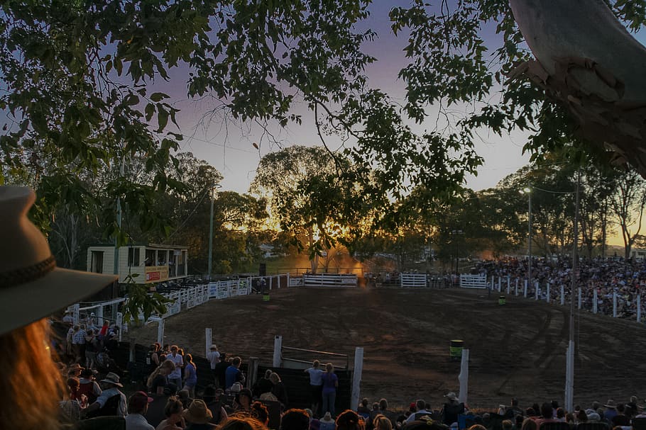 australia, wingham, wingham showground, horses, rodeo, people, HD wallpaper