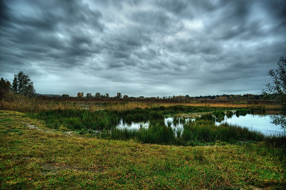 hageven, landscape, clouds, grass, cloud - sky, plant, tranquility HD wallpaper