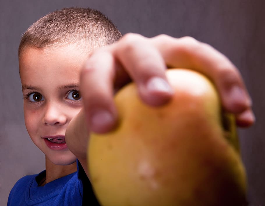 boy, child, young, head, searious, male, apple, childhood, portrait HD wallpaper