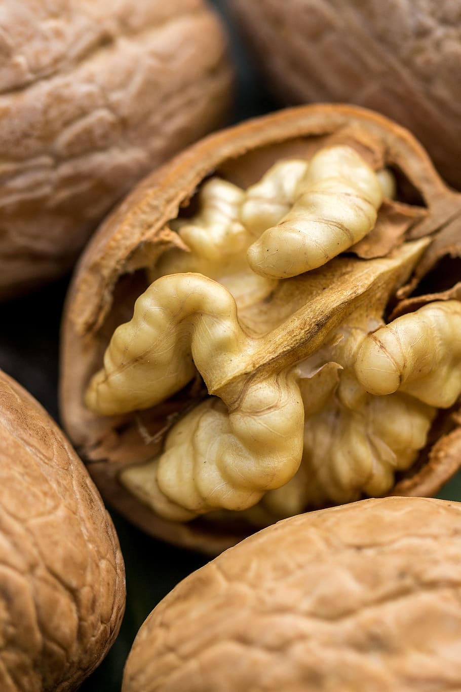 walnut, flora, nature, plant, close up, macro, fruit, delicious HD wallpaper