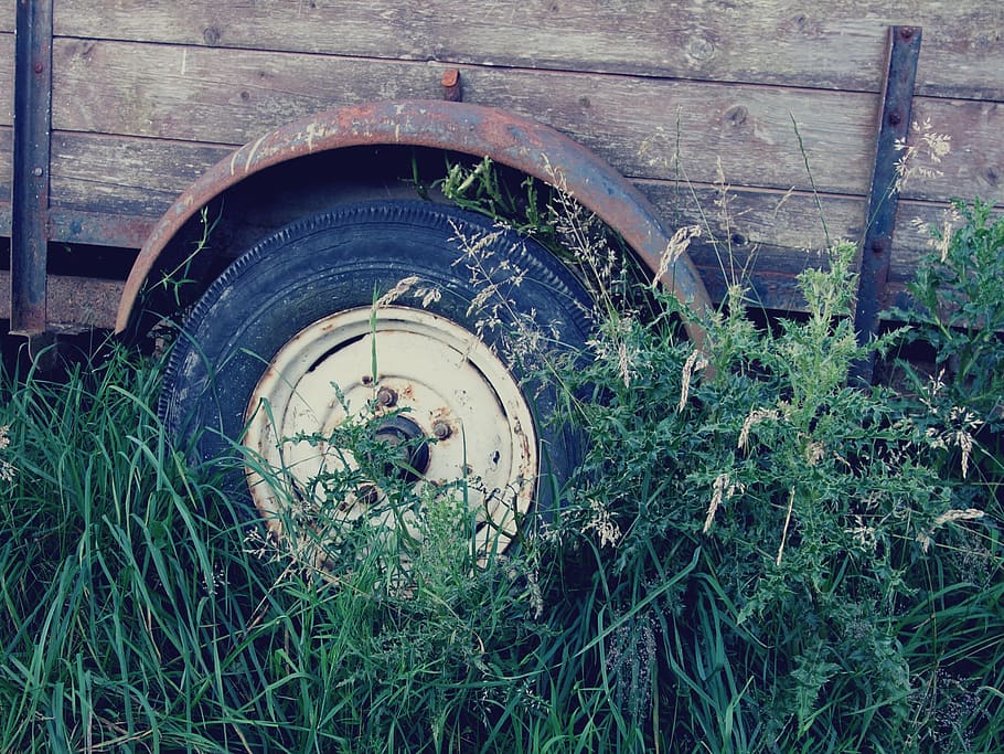 wheel, grass, rust, abandoned, plant, obsolete, day, no people HD wallpaper