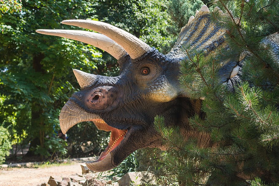 dinosaur, dinopark, nature, lizard, head, corners, the prehistoric HD wallpaper