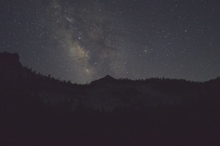night, view, dark, black, star, sky, landscape, forest, astronomy HD wallpaper