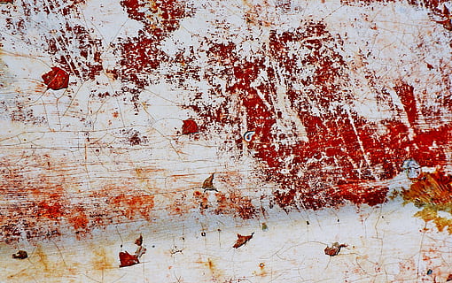 rust, texture, rug, wall, plant, leaf, art, tree, modern art HD wallpaper