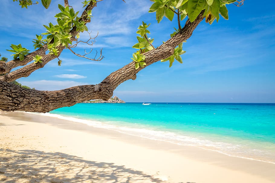 beach, paradise, water, sea, beauty in nature, land, sky, scenics - nature HD wallpaper