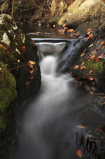 Colorful autumn stream., background, beautiful, fall, foliage HD wallpaper