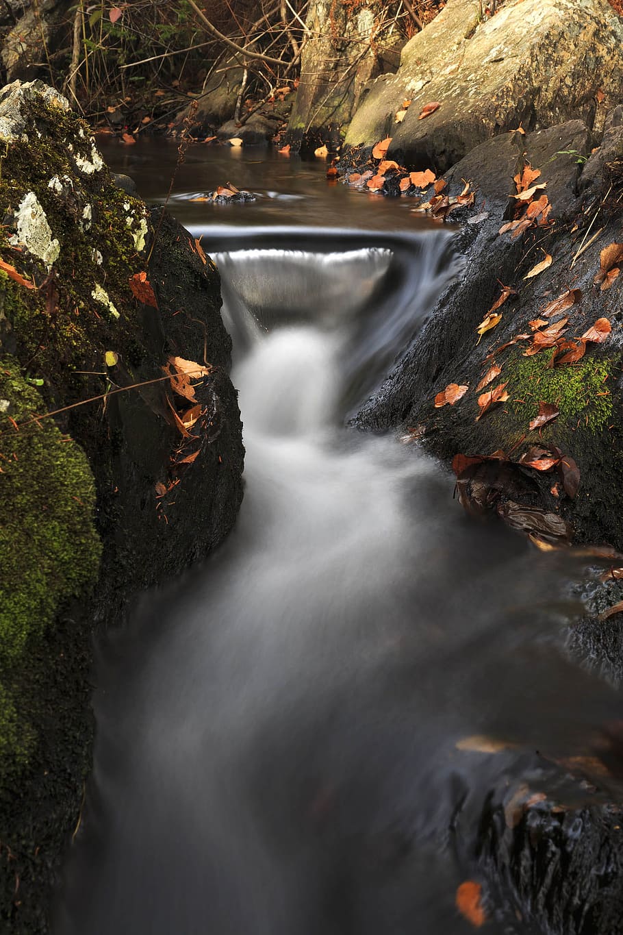 Colorful autumn stream., background, beautiful, fall, foliage HD wallpaper