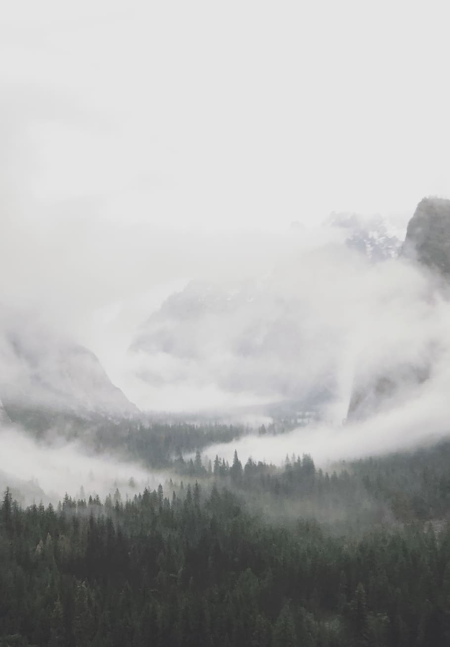 fog, beauty in nature, sky, scenics - nature, tranquility, tranquil scene HD wallpaper