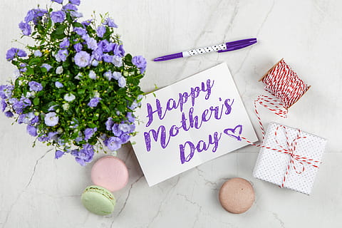 Purple-petaled Glower Besode Pen, bloom, blossom, bow, box, bright HD wallpaper