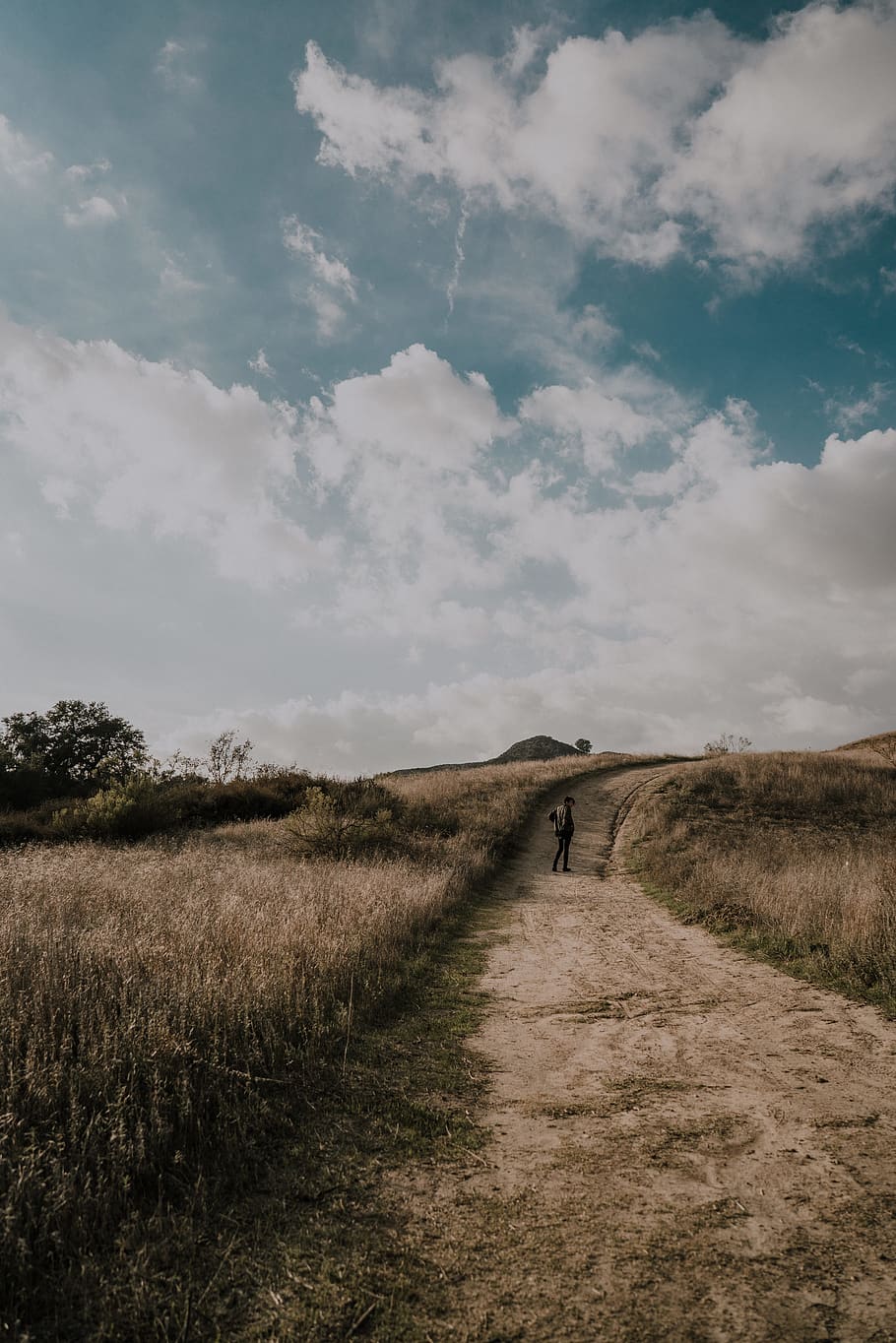 lonely, path, hill, nature, moody, portrait, trail, hiking path HD wallpaper