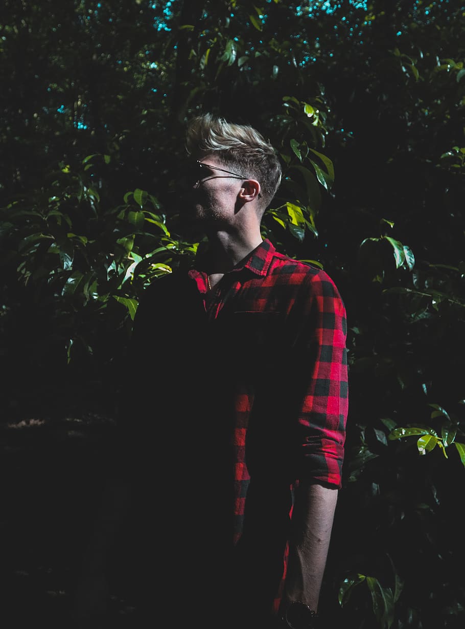 trees, forest, leaves, green, shine, sun, light, shadow, model HD wallpaper