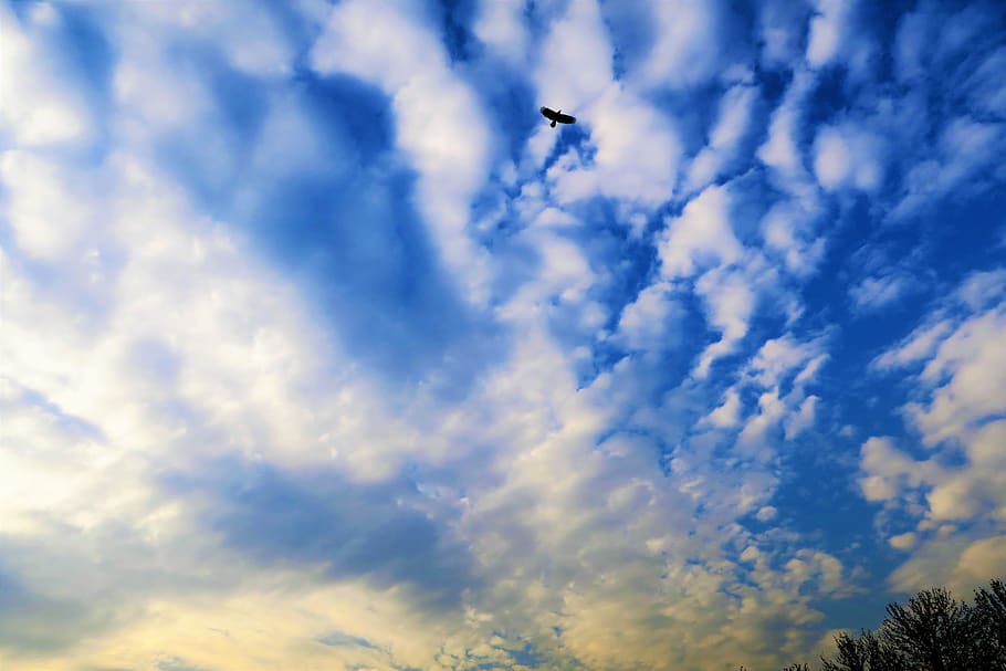 clouds, sky, nature, beautiful, atmosphere, blue, bird, fly HD wallpaper