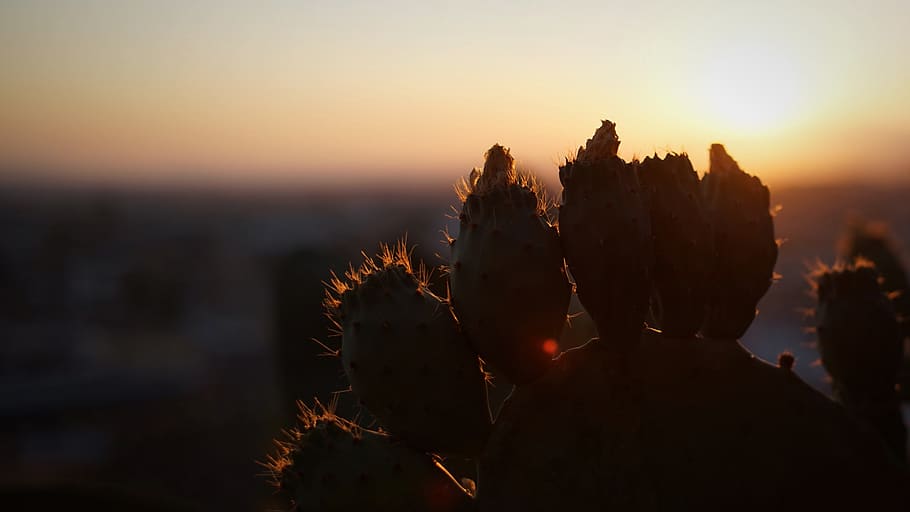 granada, spain, sunset, sky, beauty in nature, silhouette, tranquility HD wallpaper