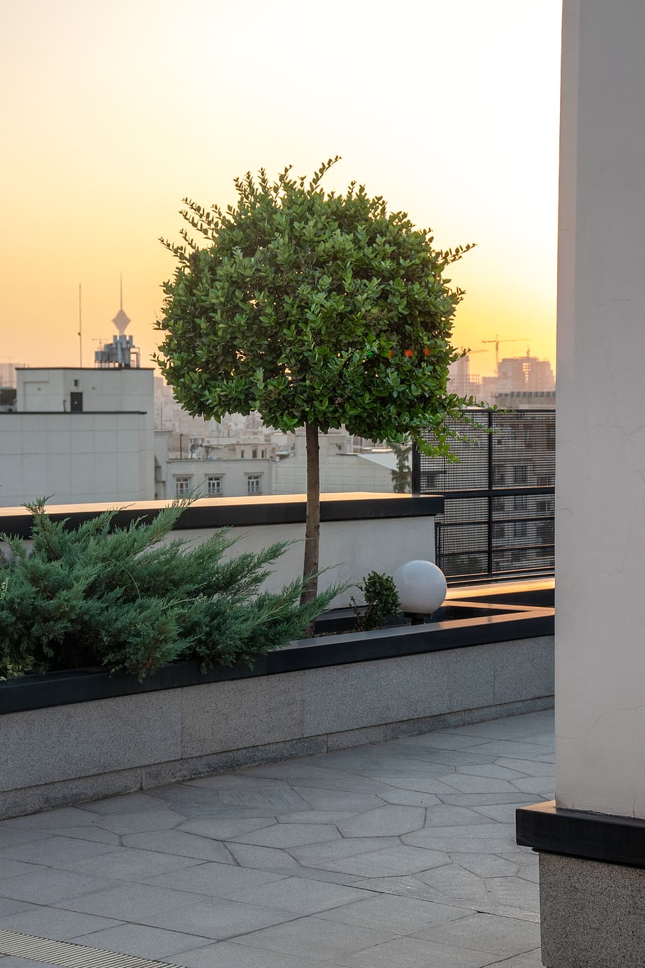 iran, tehran, darrous, plant, architecture, tree, nature, built structure HD wallpaper