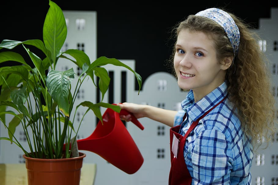 Woman Watering Plant, adorable, attractive, beautiful, beautiful woman