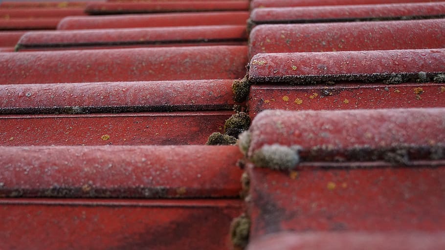 tile, roof, moss, bemoost, roofing, red, green, nature, house HD wallpaper