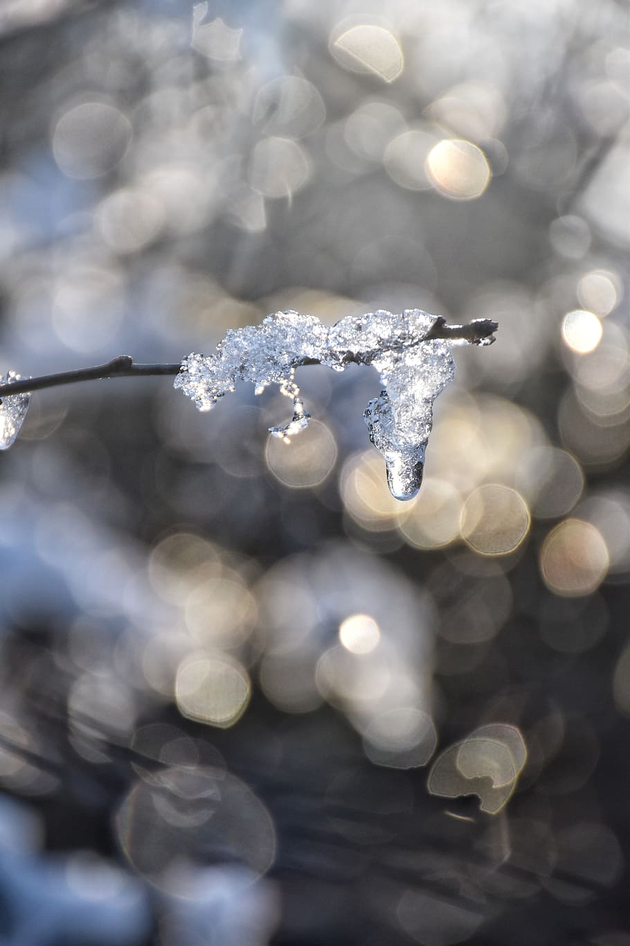 nature, outdoors, ice, snow, winter, frost, zing, thaw, bokeh, HD wallpaper