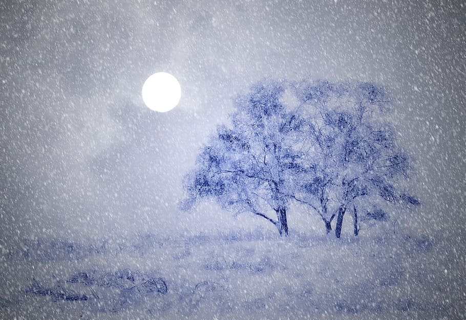 winter, cold, ice, snow, art, paint, painting, cold temperature HD wallpaper