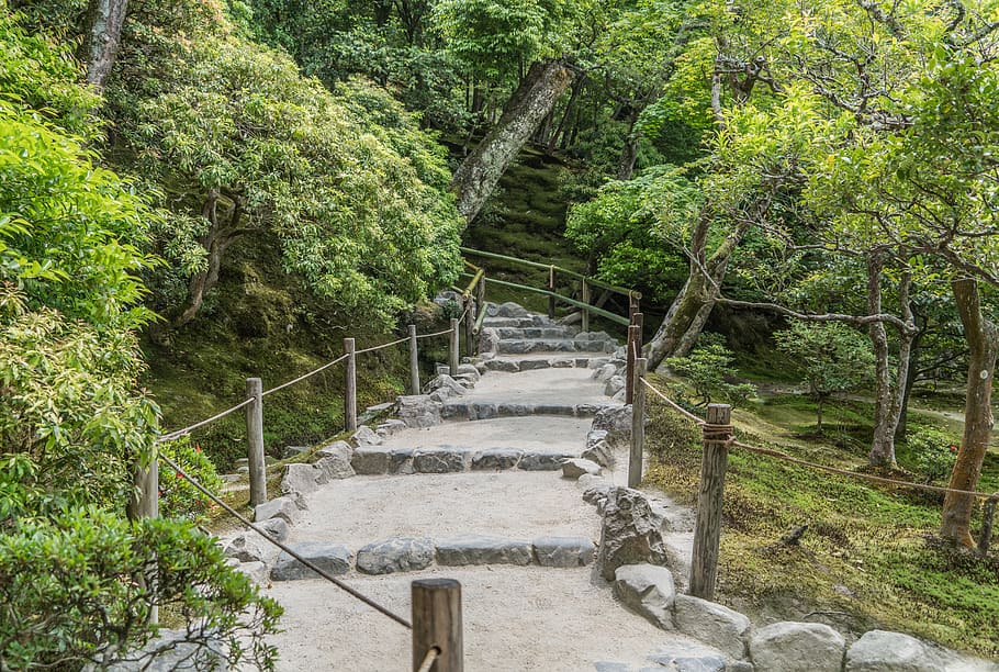 stone path, stairs, forest, japan, kyoto, moss, nature, green HD wallpaper