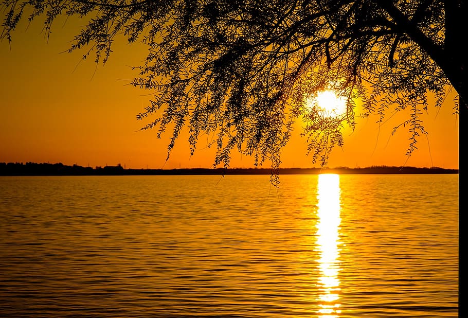 sunset, sunlight, sea, ocean, water, reflection, tree, silhouette HD wallpaper