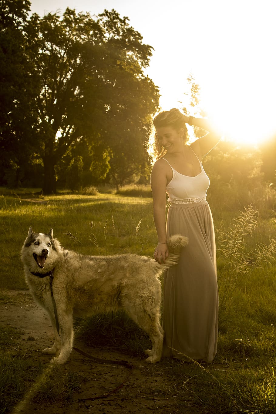 Photo of Woman Playing With Dog, adult, animal, beautiful, bright
