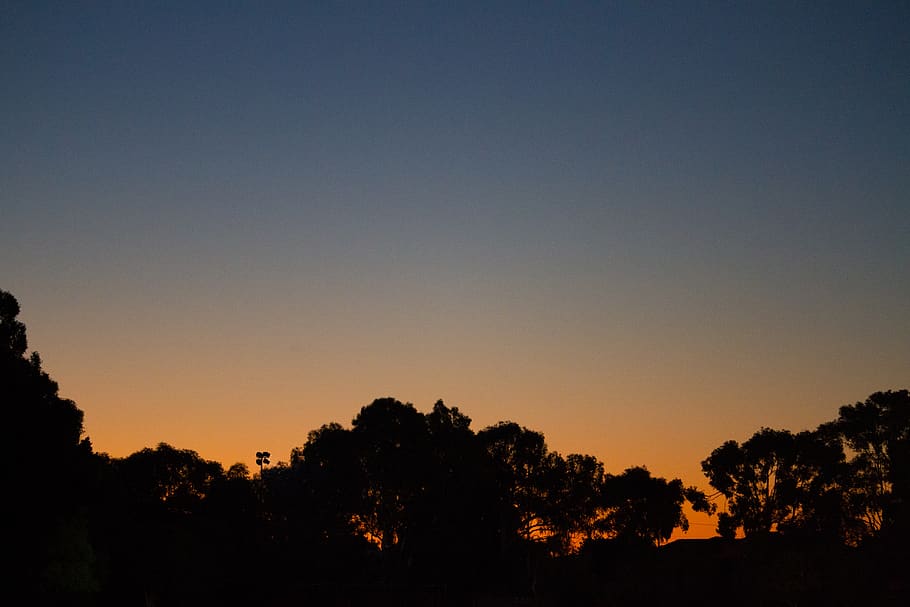 australia, perth, blue, sky, fade, trees, summer, sunny, sdh_photos HD wallpaper