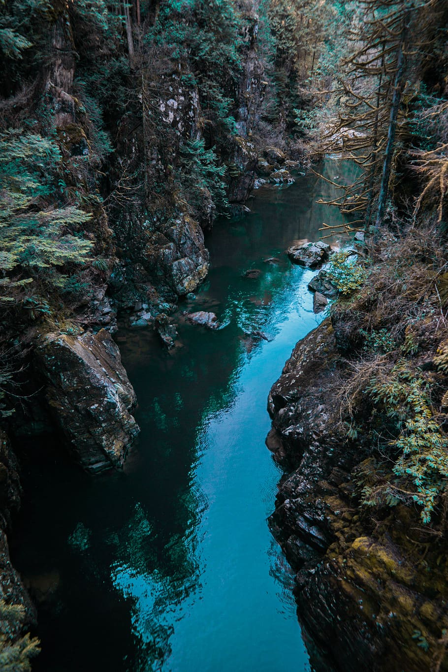 forest, river, canyon, trail, mountain, water, rock, rock - object HD wallpaper