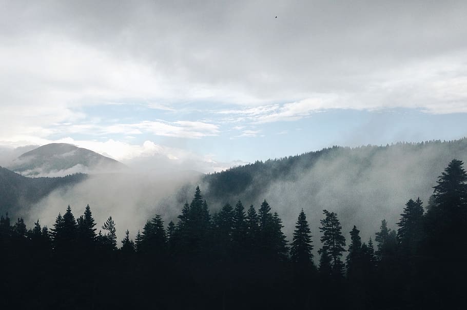 HD wallpaper: turkey, kastamonu, fog, landscape, wild, mountain, cloud ...