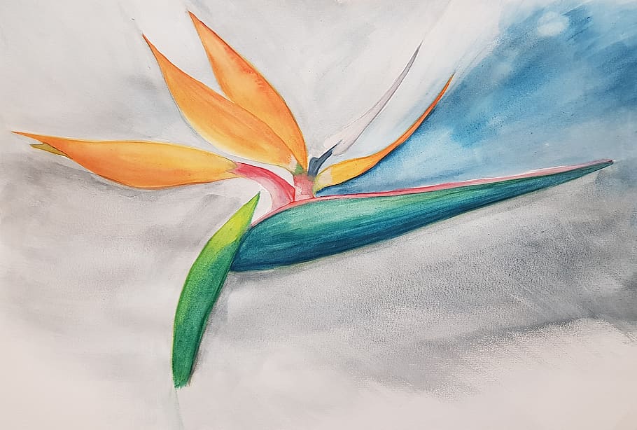 watercolor, flower, nature, artistic, bird of paradise, drawing, HD wallpaper