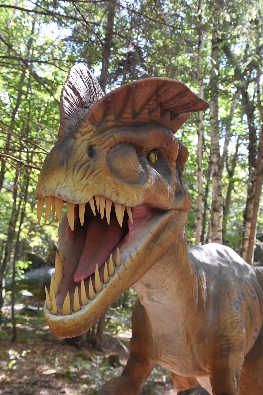 dinosaurs, québec, exhibition, animal representation, art and craft HD wallpaper