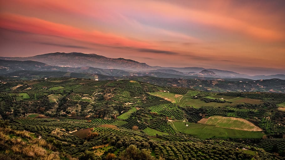 Green Field Photo, clouds, cloudy sky, colours, cropland, evening HD wallpaper