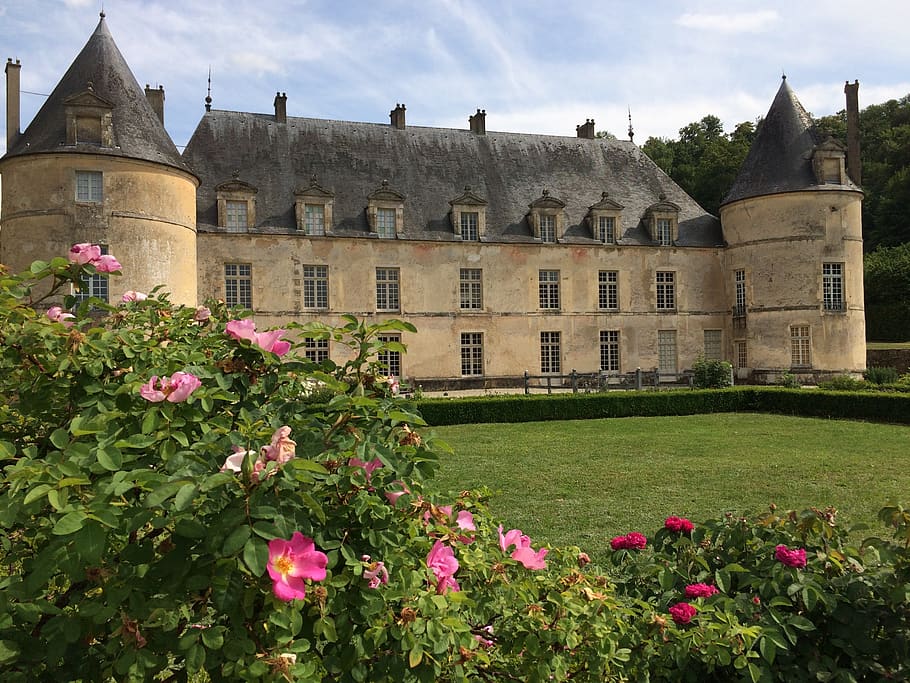 castle, park, swallows, architecture, plant, built structure HD wallpaper