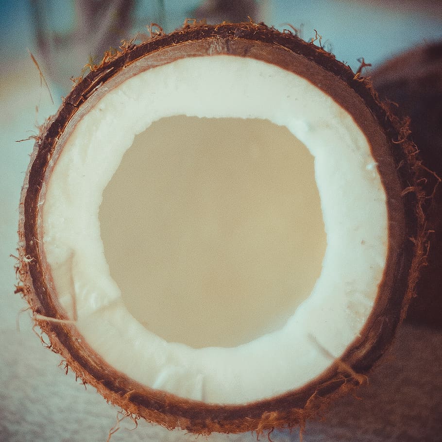 brown coconut shell, food, plant, vegetable, fruit, hole, radish, HD wallpaper
