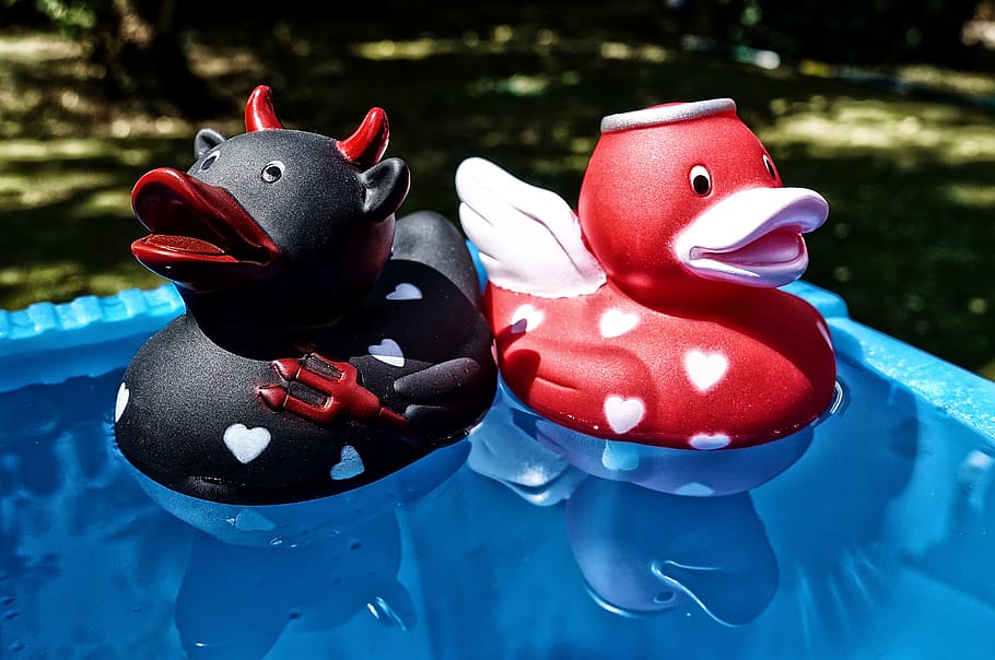 quietscheenten, devil, angel, opposites, ducks, rubber, cute HD wallpaper