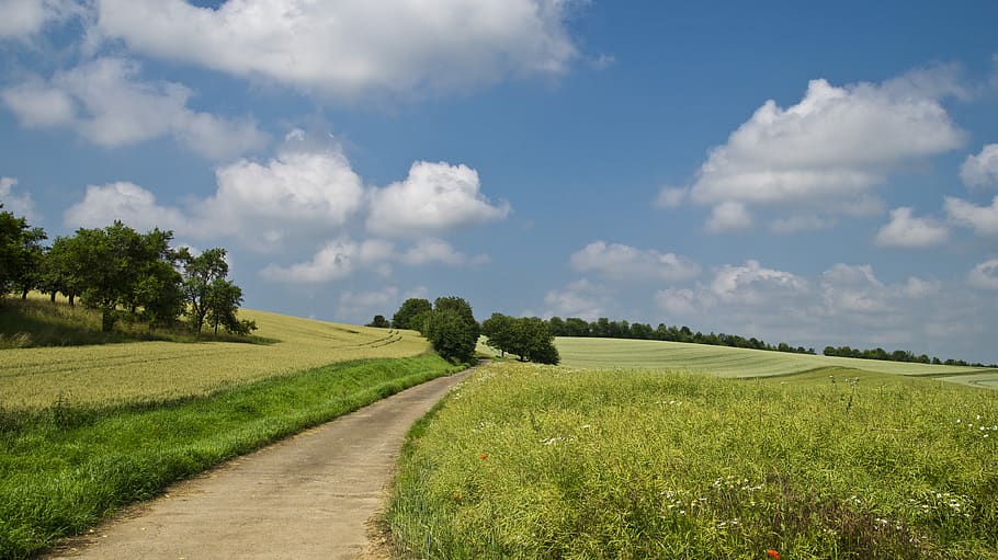 Pathway in Between of Green Grass Field, clouds, landscape, nature HD wallpaper