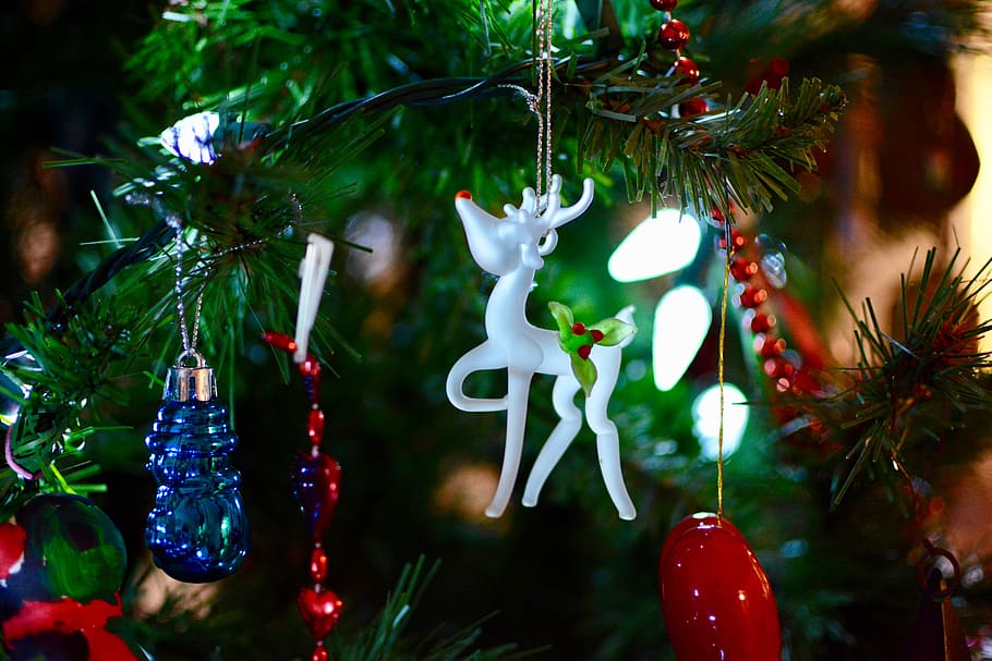Shallow Focus Photography of White Deer Christmas Tree Ornament HD wallpaper