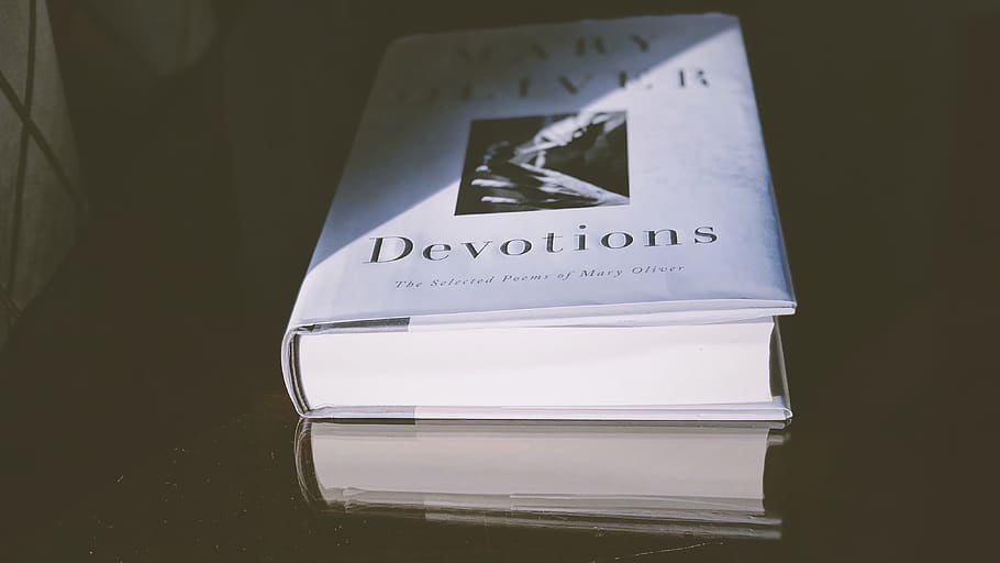 devotions, mary oliver, text, western script, communication HD wallpaper