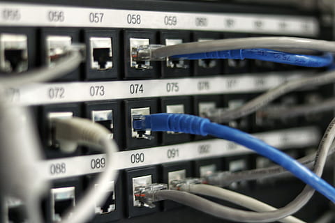 blue UTP cord, electronics, server, computer, hardware, wiring HD wallpaper