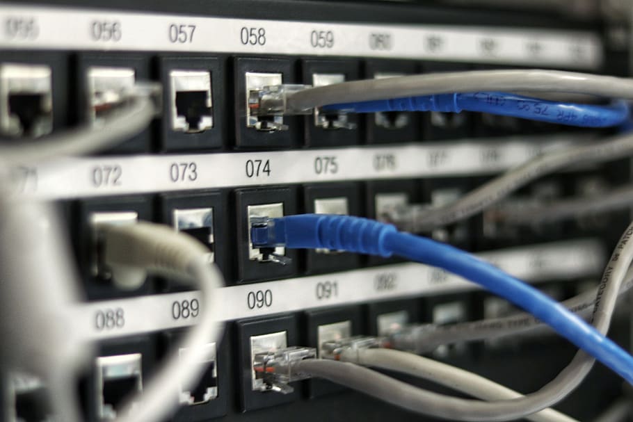 blue UTP cord, electronics, server, computer, hardware, wiring HD wallpaper