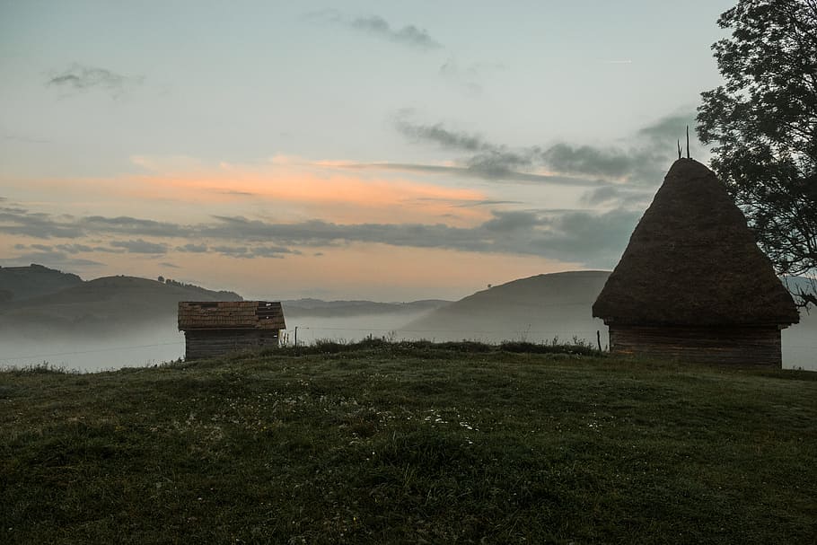 Brown Hut Near Tree on Grass Field, architecture, clouds, dawn, HD wallpaper