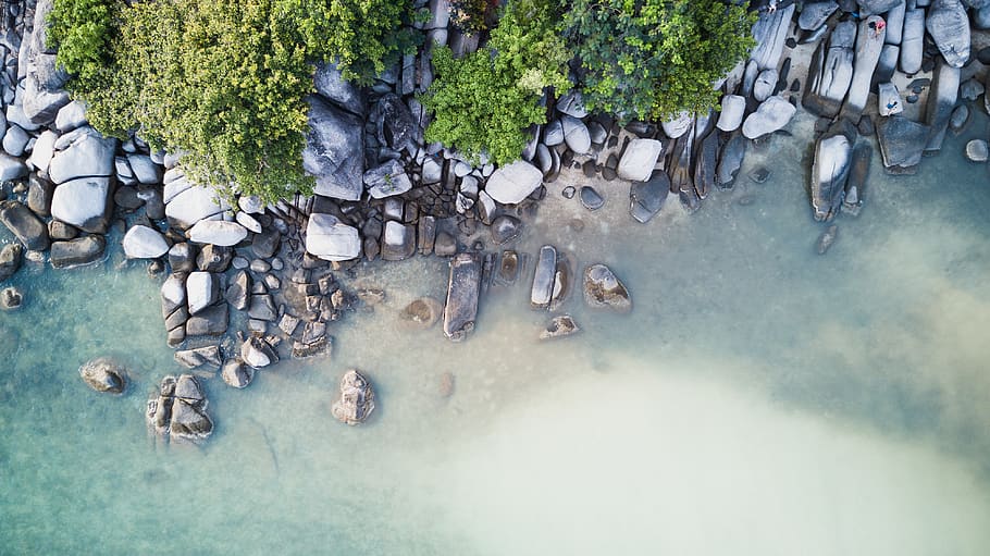 sea, ocean, water, wave, nature, rocks, stone, coast, trees HD wallpaper