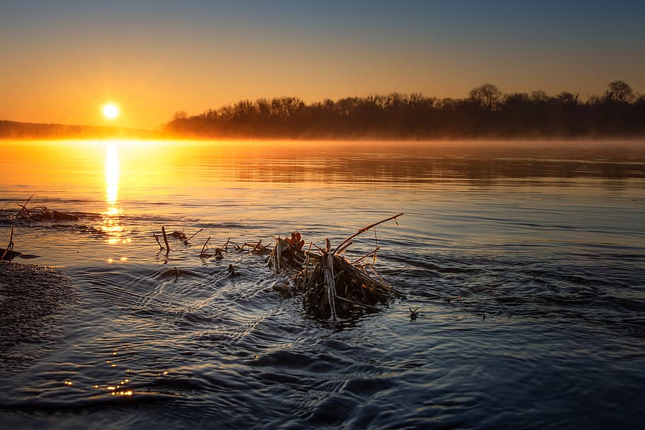 sunrise, river, elbe, water, landscape, mood, mirroring, elbeland community HD wallpaper