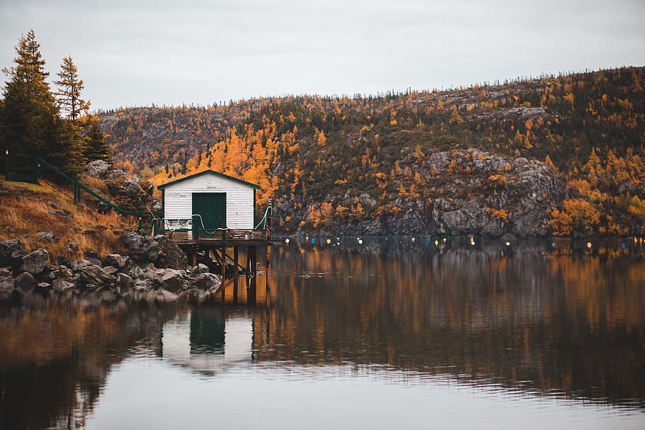 white house near river, boathouse, water, mountain, tree, forest HD wallpaper