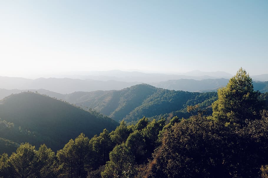spain, málaga, malaga, forest, trees, national, layers, depth HD wallpaper