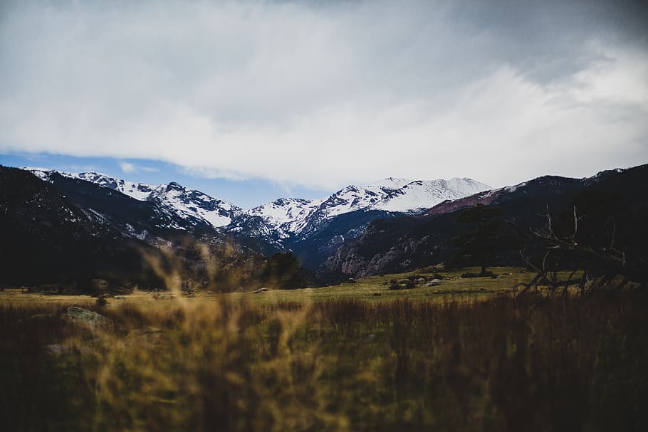 green, grass, nature, mountain, highland, landscape, view, hill HD wallpaper